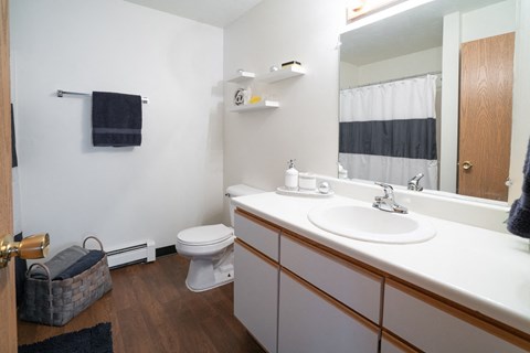 a bathroom with a sink and a toilet and a mirror