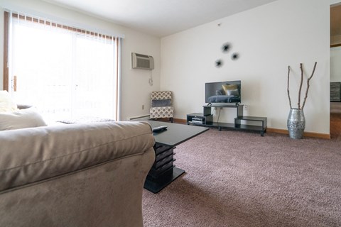 a living room with a couch and a coffee table and a television