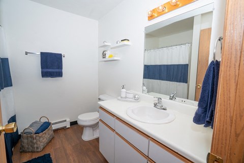 a bathroom with a sink and a toilet and a mirror