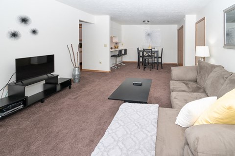 a living room with a couch and a tv