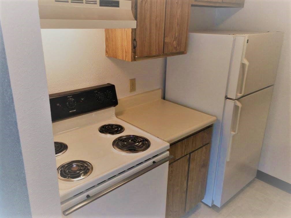 Kitchen Ellsworth Apartments
610 S. Hillsdale Street, Homer, MI 49245