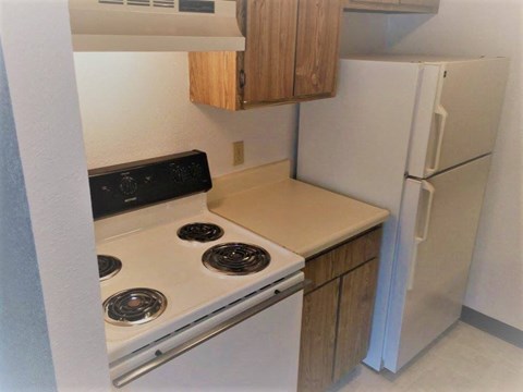 Kitchen Ellsworth Apartments
610 S. Hillsdale Street, Homer, MI 49245