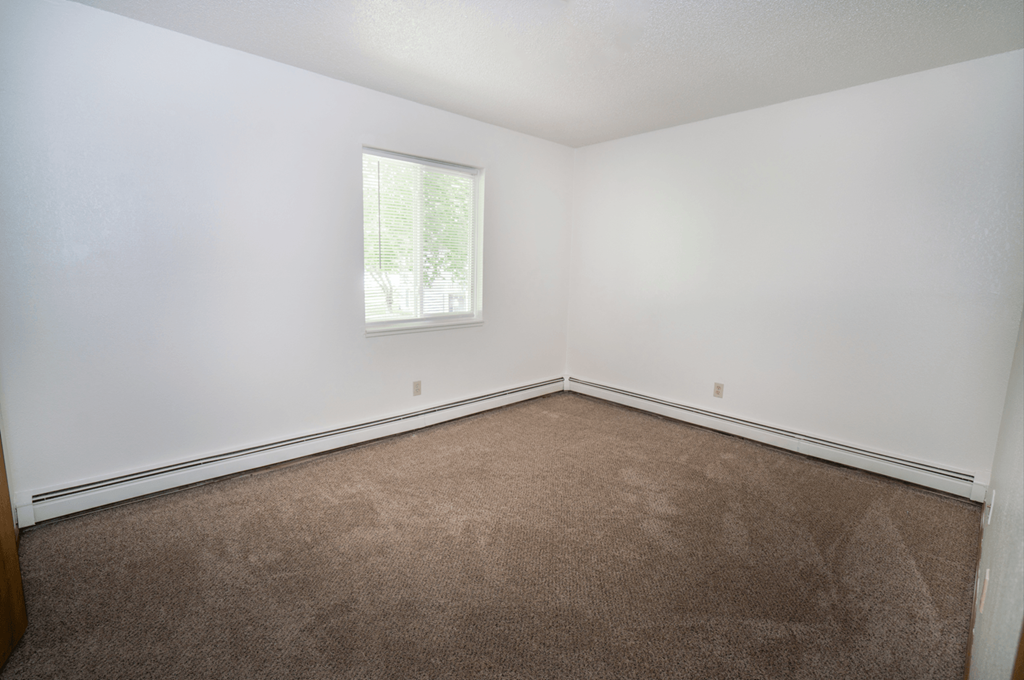 an empty room with carpet and a window