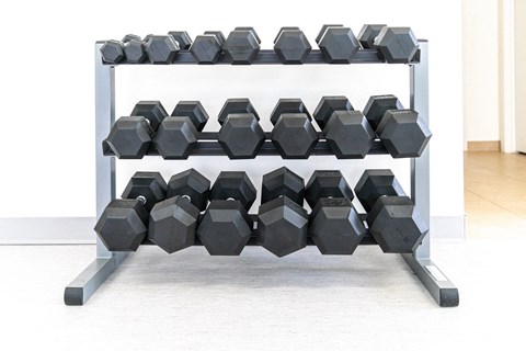 Free Weights at Fuller Apartments, Perrysburg, 43551