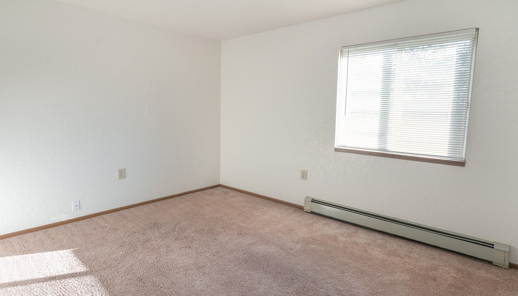 an empty room with carpet and a window