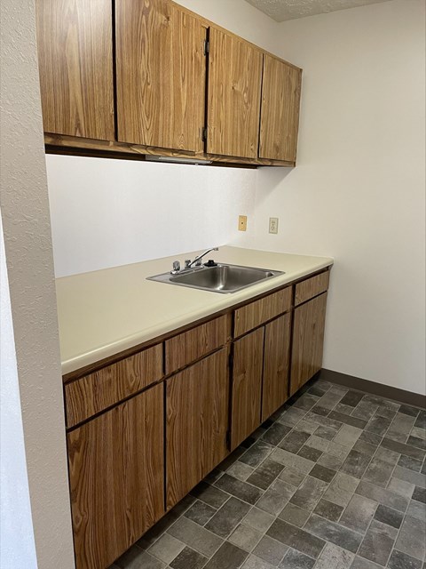a kitchen with a sink and wooden cabinets