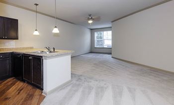 The Legacy at Walton Heights Crown Molding