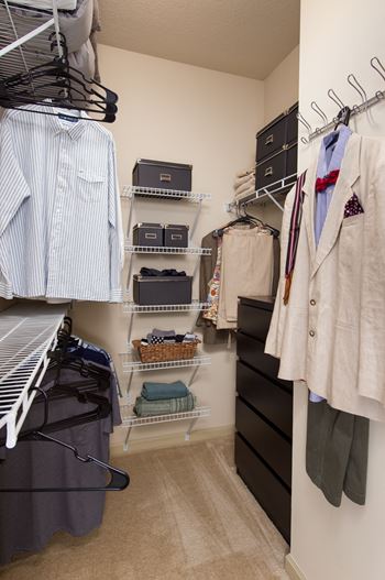 Walton Lakes Apartment Homes Walk-In Closet