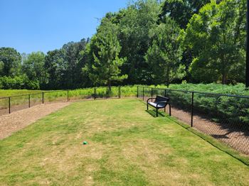 a large grassy area with a bench and trees in the background