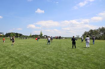 people playing frisbee on a grassy field