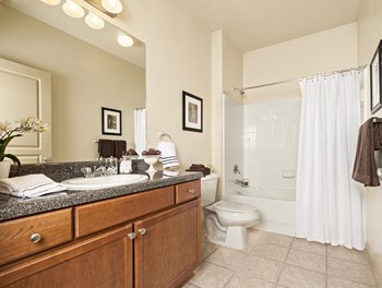 The Legacy at Walton Overlook Apartment Bathroom - Photo Gallery 7