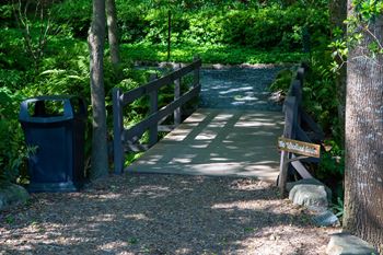 a small bridge over a creek with a trash can