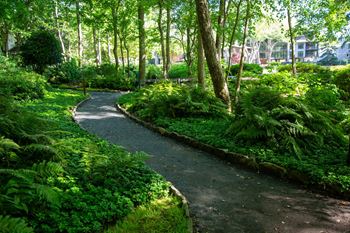 a winding path through a lush green park