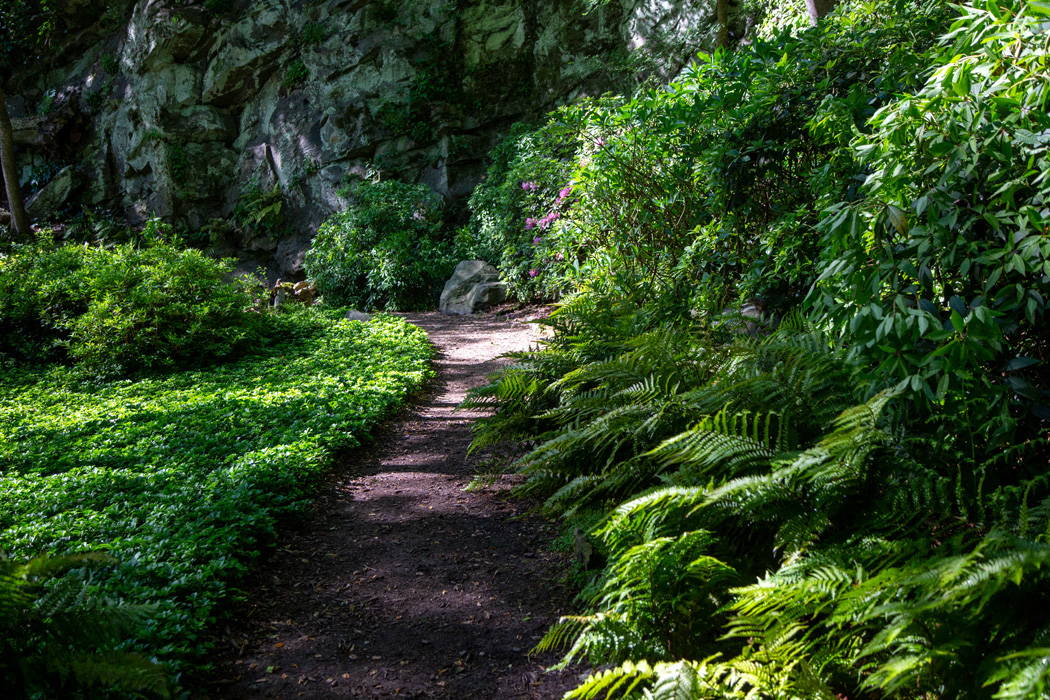 Walton on the Chattahoochee Walking Path