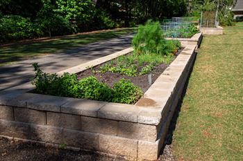 a retaining wall with plants in it in a garden