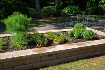 a herb garden in a stone retaining wall