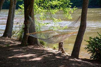 a hammock hanging between trees next to a river