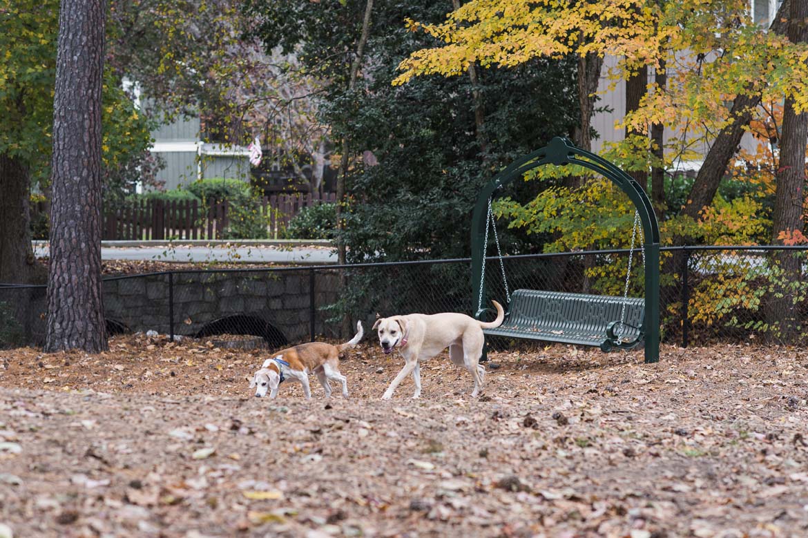 Walton on the Chattahoochee Fenced Dog Park, Atlanta GA