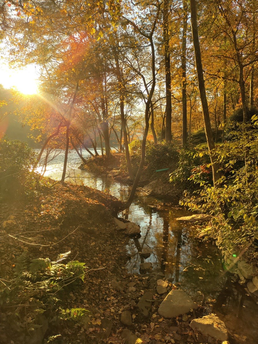 walton on the chattahoochee creek trails