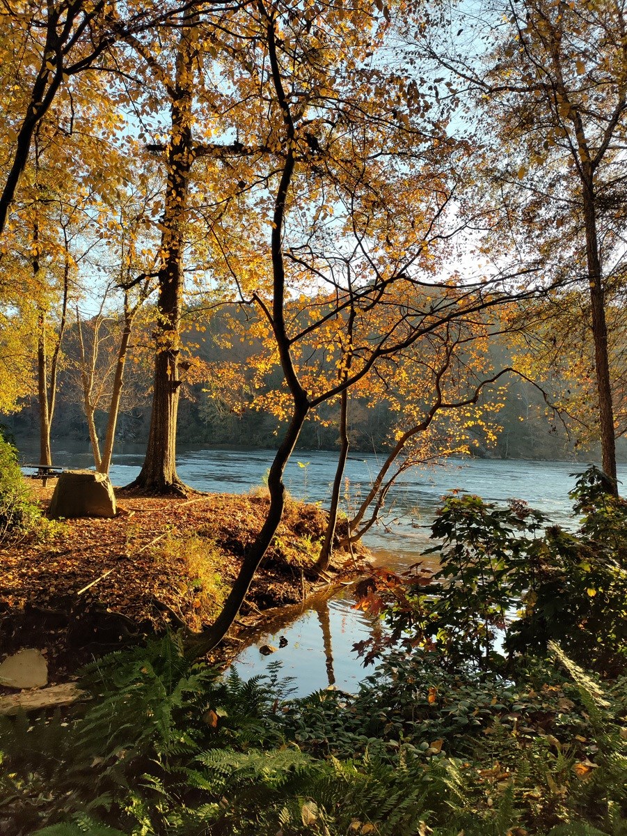Walton on the Chattahoochee River views