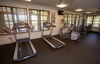 The Legacy at Walton Overlook Apartment Homes, Acworth GA Fitness Center - Photo Gallery 16