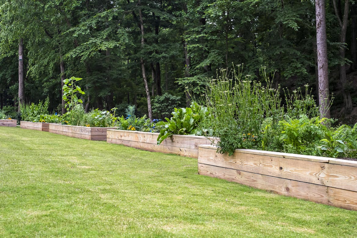 Walton on the Chattahoochee Vegetable Garden, Atlanta GA