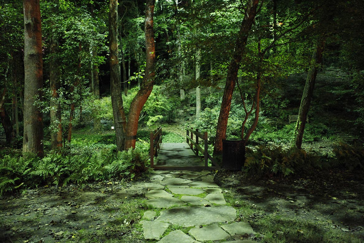 Walton on the Chattahoochee, Atlanta GA