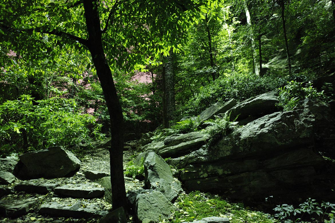 Walton on the Chattahoochee, Atlanta GA