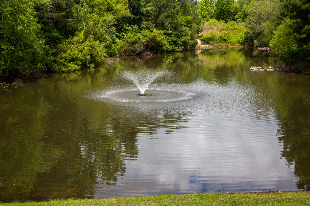 The Legacy at Walton Bluegrass, Alpharetta GA