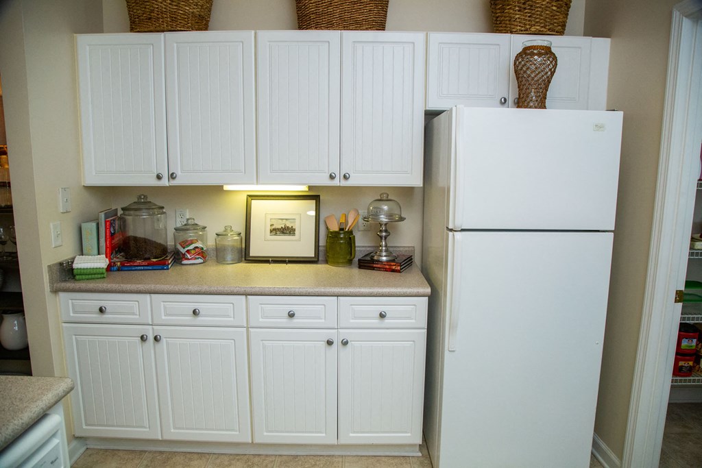 Walton Centennial Model Kitchen, Roswell GA