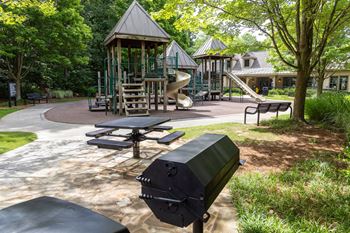 Walton Centennial Apartments in Roswell, GA playground adventure park