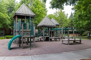 Walton Centennial Apartments in Roswell, GA playground adventure park