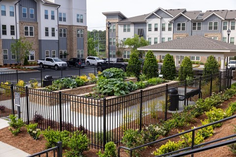 A black metal fence surrounds a small garden area.