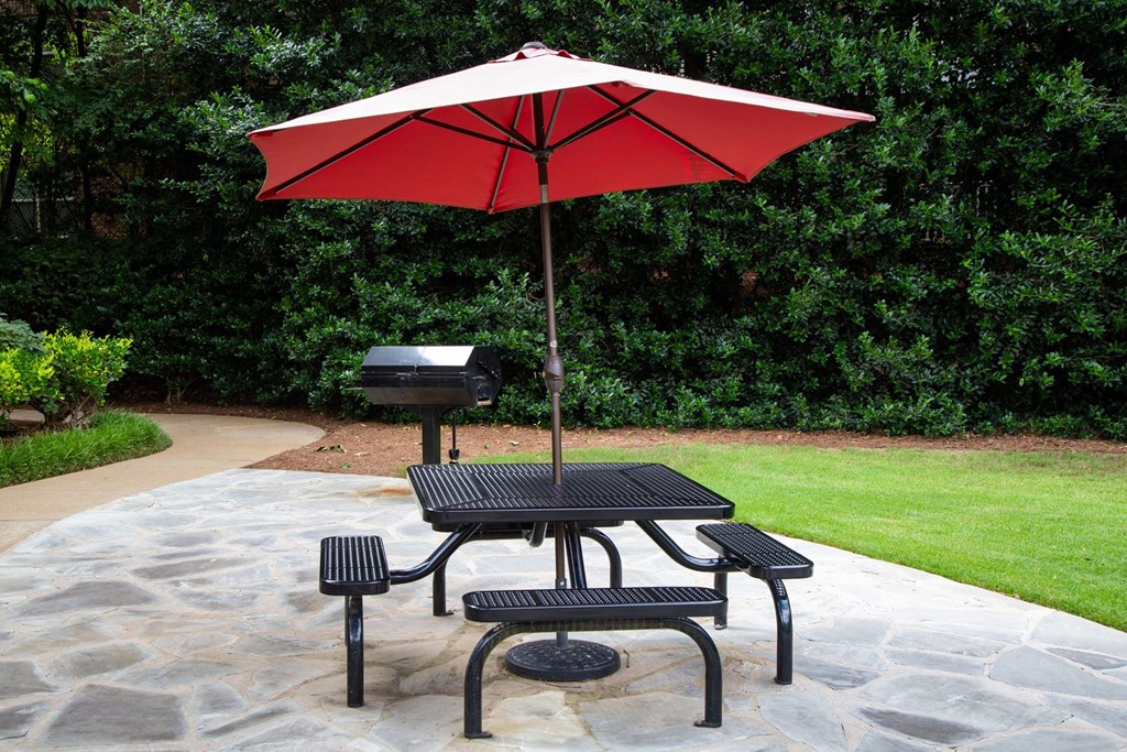 Walton Grove Apartment Homes, Smyrna GA Picnic Area