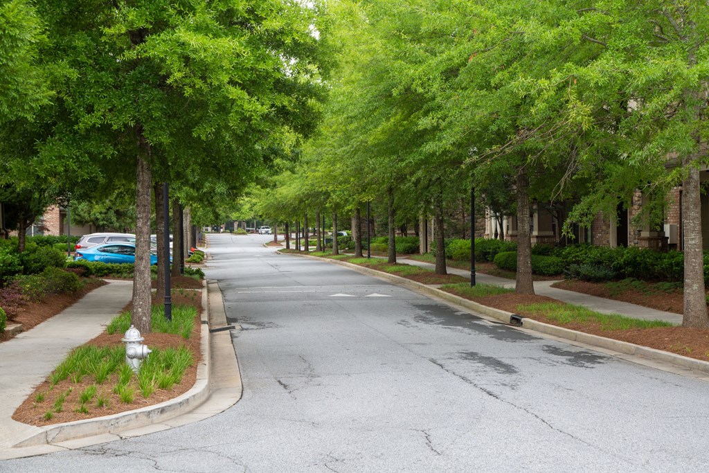 Walton Lakes, Camp Creek Parkway Tree Lined Streets