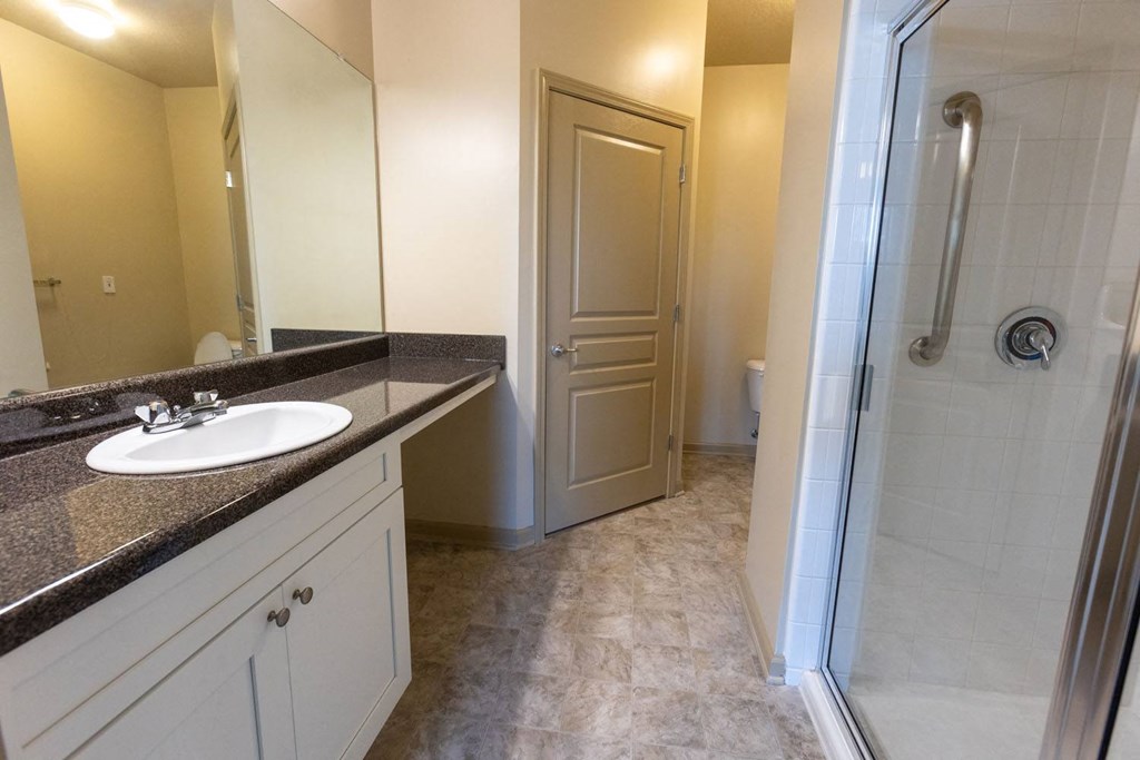 a bathroom with a sink and a shower