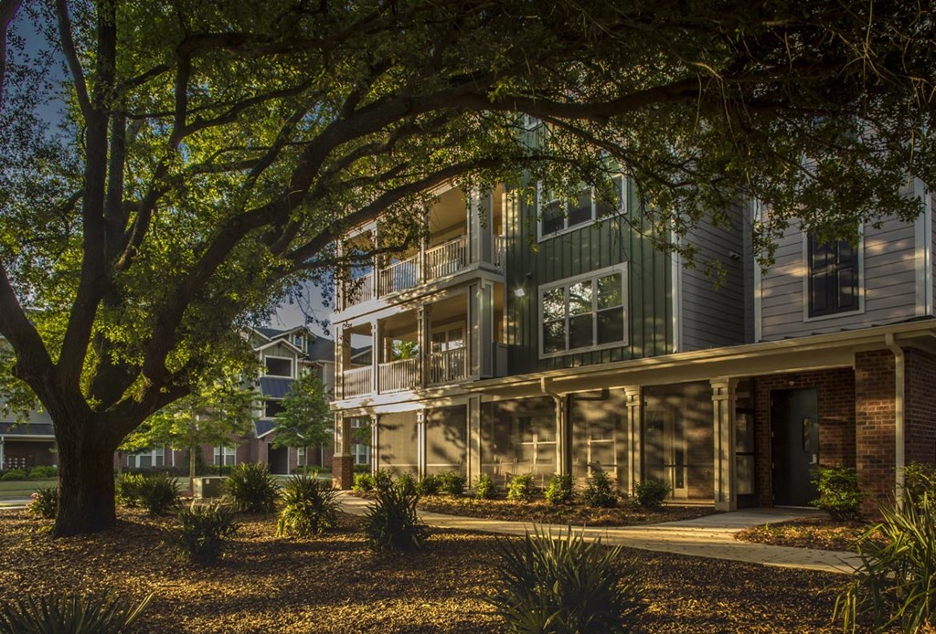 The Legacy at Walton Oaks Apartment Homes, Augusta GA Abundant Shade Areas