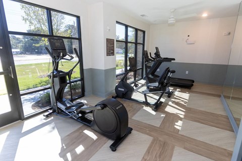 A gym with treadmills and elliptical machines.