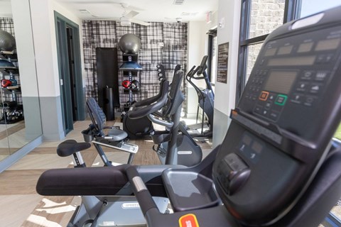 A row of treadmills are lined up in a gym.