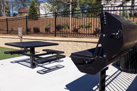 A black picnic table and bench are in the foreground of a black fence.