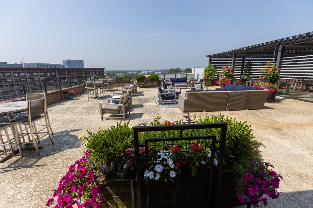 the roof terrace at the ivy hotel
