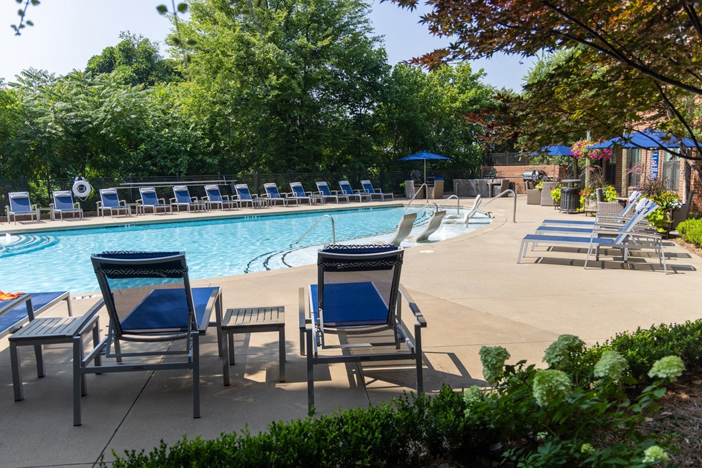 a pool with lounge chairs and umbrellas