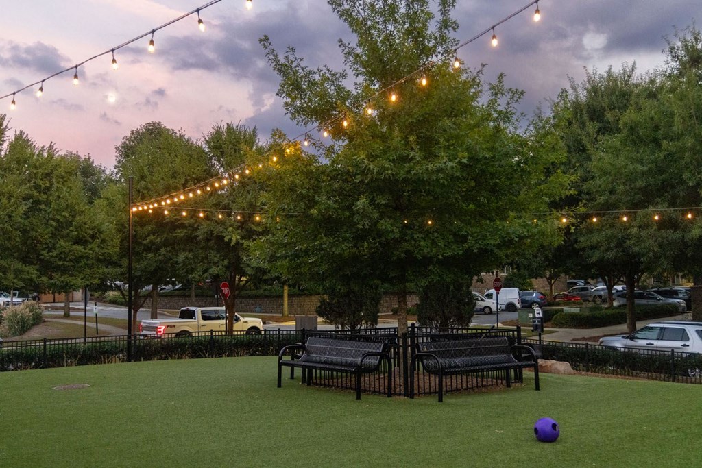 a park with benches and strings of lights