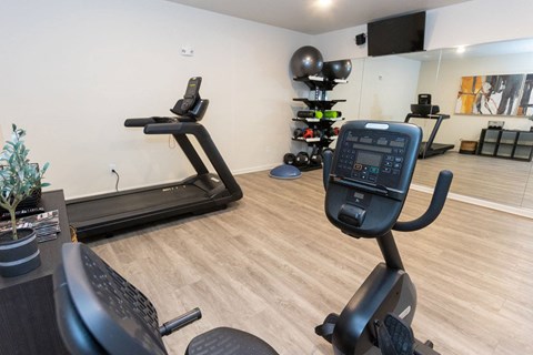 A home gym with treadmills and exercise equipment.