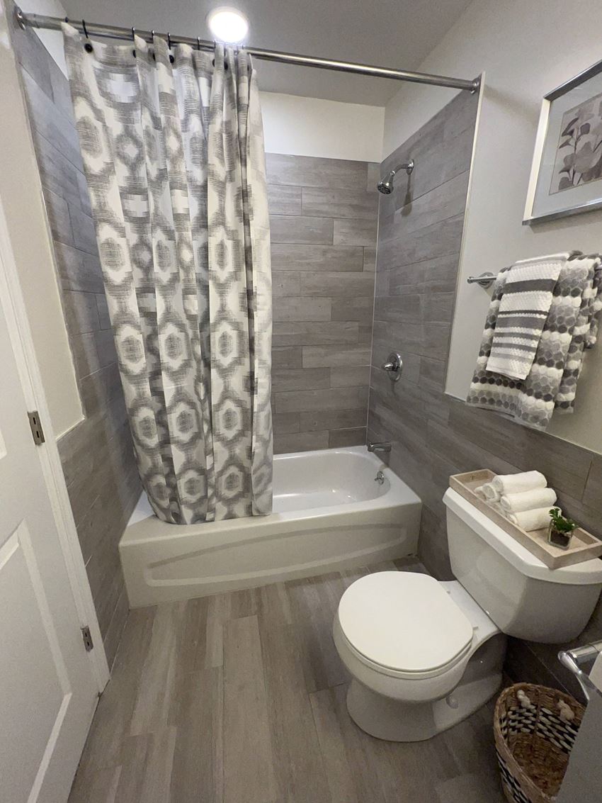 Modern Sleek Bathroom View of decorated bathroom - Photo Gallery