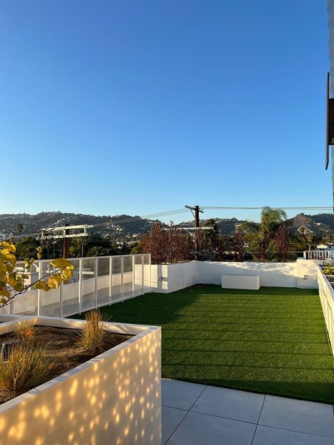 a backyard with a lawn and a view of the city