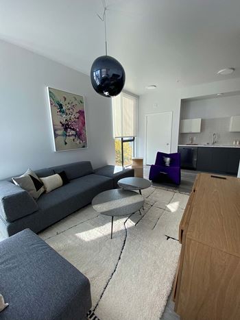 Furnished*