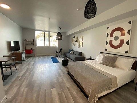 a bedroom with a bed and a couch and a tv