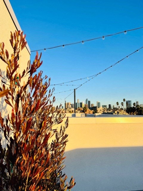 a view of the city from the roof of a building