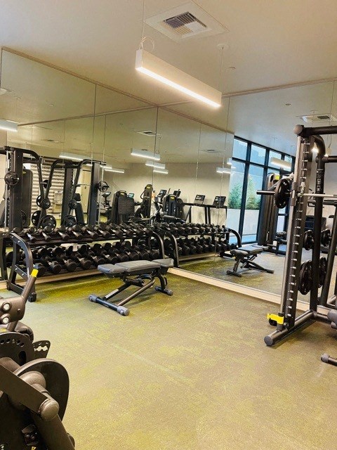 a gym with a lot of weights and mirrors in it